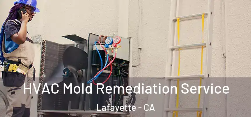  HVAC Mold Remediation Service Lafayette - CA