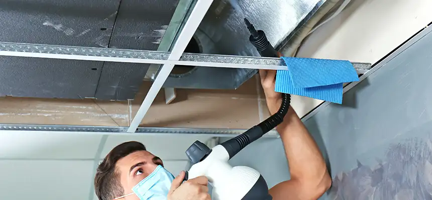 Our Air Duct Rodent Removal Services in Lafayette, CA