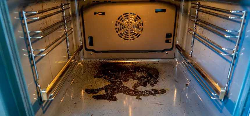 Our Dryer Vent Mold Cleaning Services in Lafayette, CA