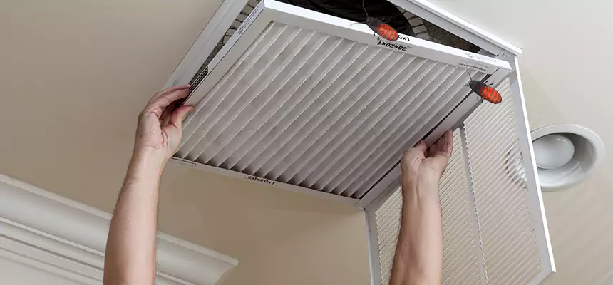 Our Insect Removal from Air Ducts Services in Lafayette, CA