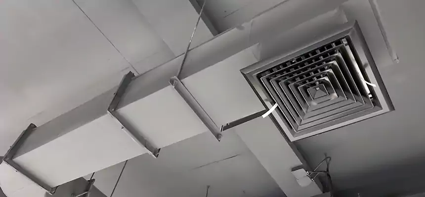 Our Pest Removal From Ducts Services in Lafayette, CA