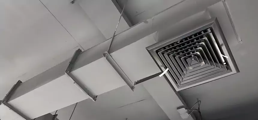 Our Rodent Droppings In Vents Services in Lafayette, CA