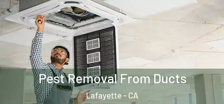  Pest Removal From Ducts Lafayette - CA