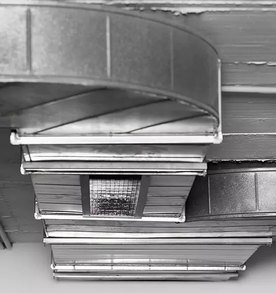 Professional Air Duct Pest Removal in Lafayette, CA