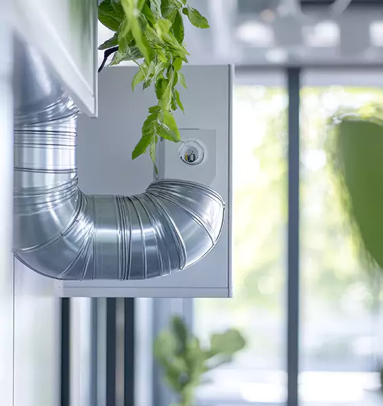 Professional Eco-Friendly Duct Cleaning Services in Lafayette, CA