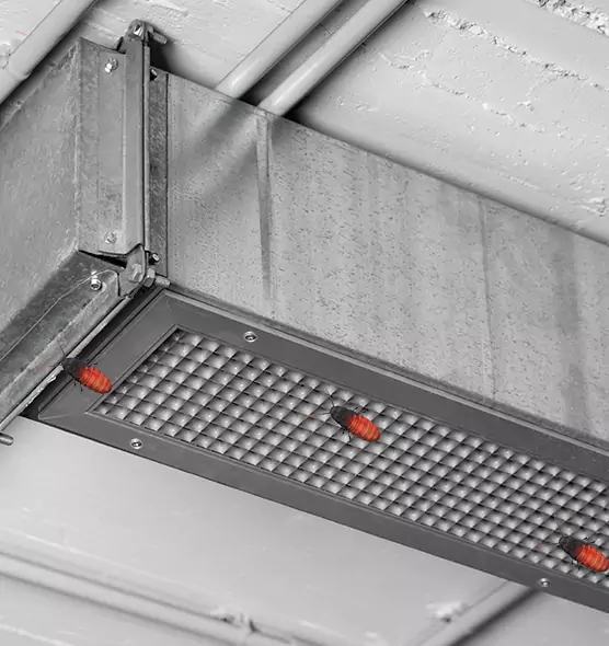 Affordable Insect Removal from Air Ducts in Lafayette, CA