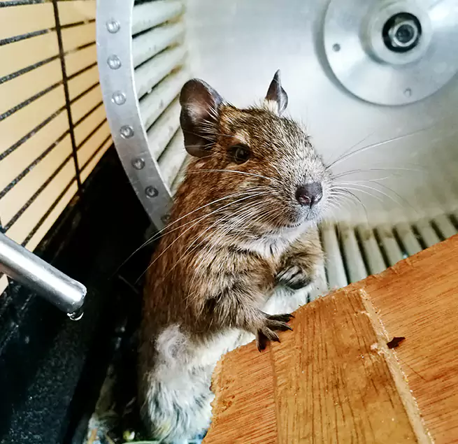 Why Homeowners & Businesses Trust Us Lafayette, CA