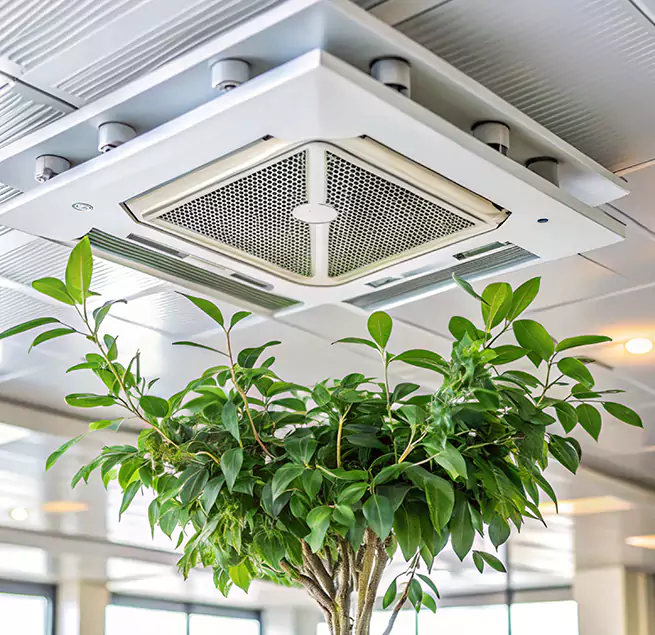 Why Homeowners & Businesses Trust Us in Lafayette, CA?