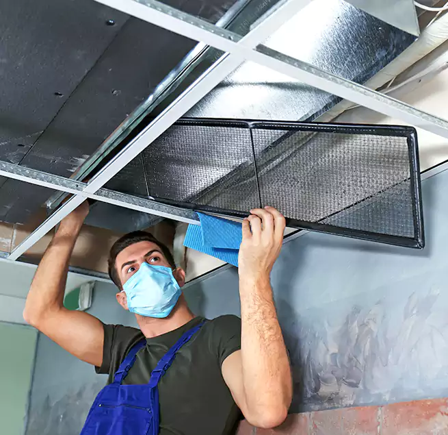 Why Homeowners Businesses Trust Us in Lafayette, CA