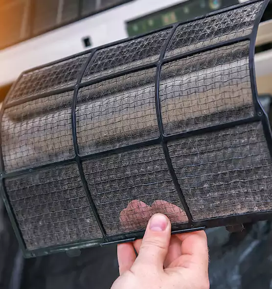 About Pet Dander Duct Cleaning in Lafayette, CA